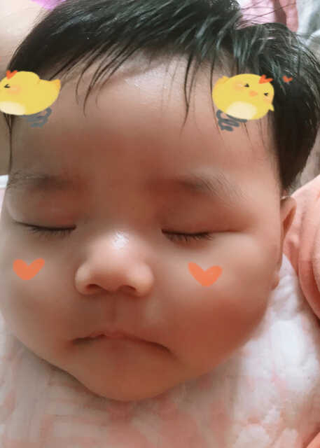模特-