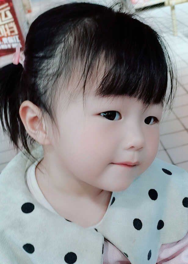 模特-