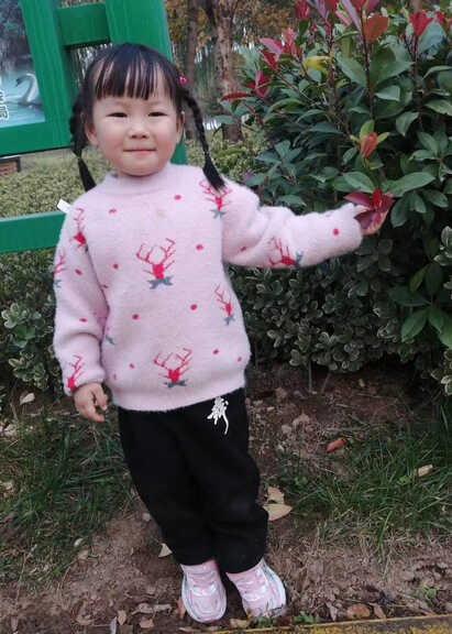 模特-