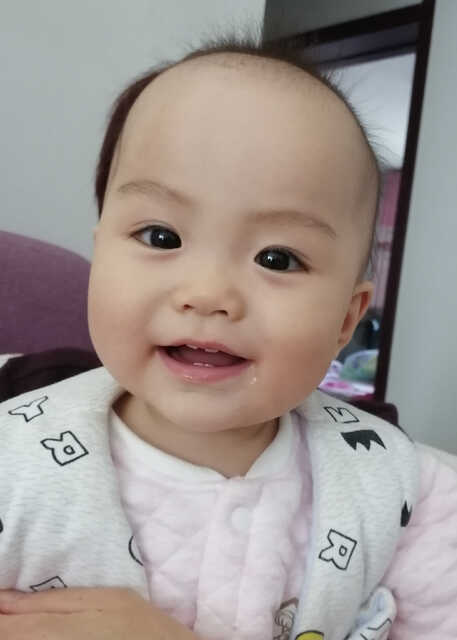 模特-