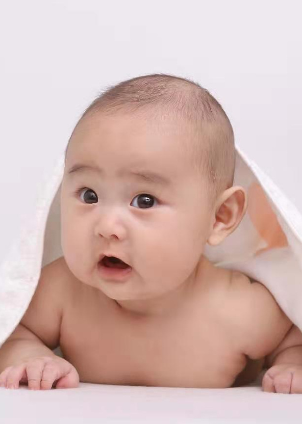 模特-