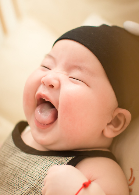 模特-