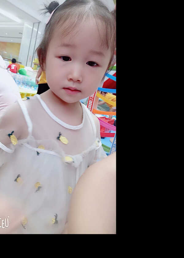 模特-
