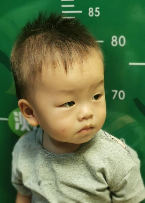 模特-