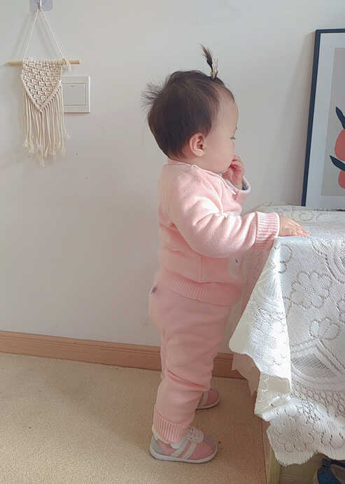 模特-