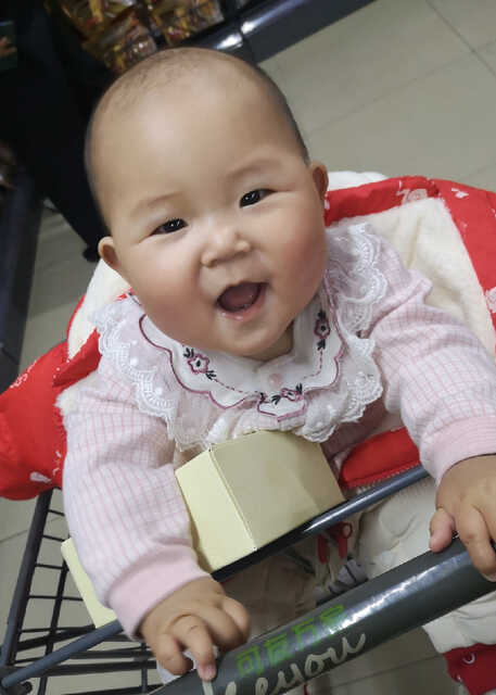 模特-