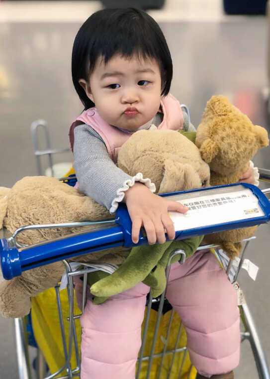 模特-