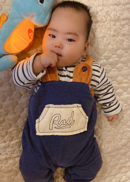模特-