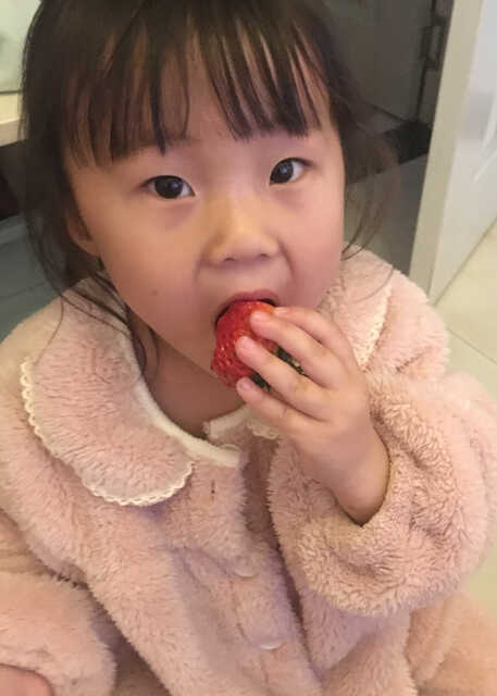 模特-