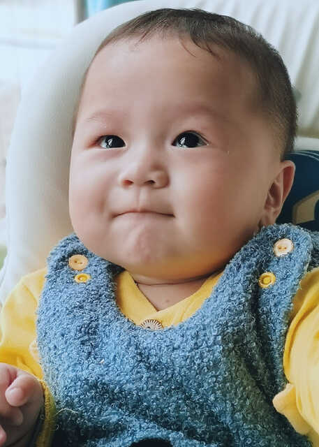 模特-