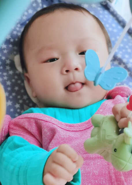 模特-
