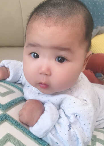 模特-