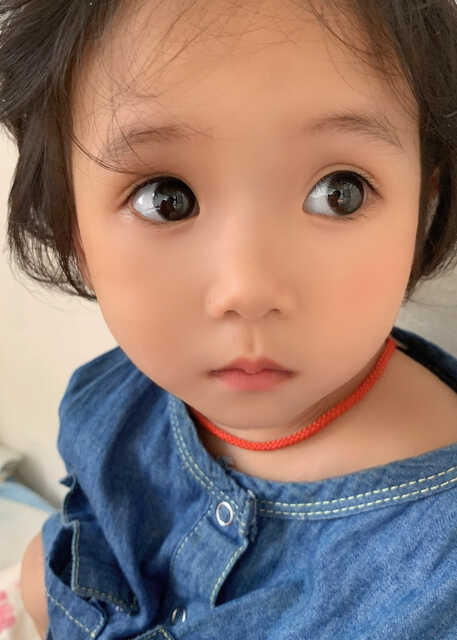 模特-