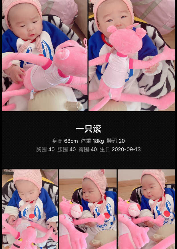模特-