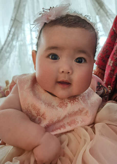 模特-