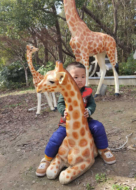 模特-