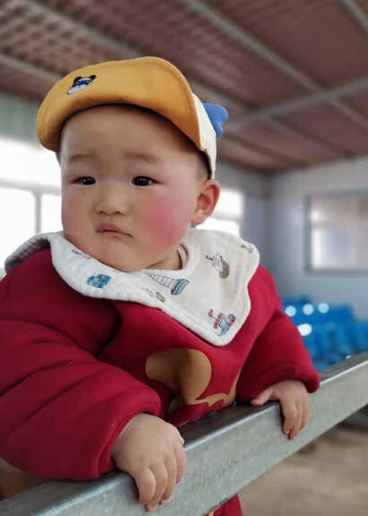 模特-