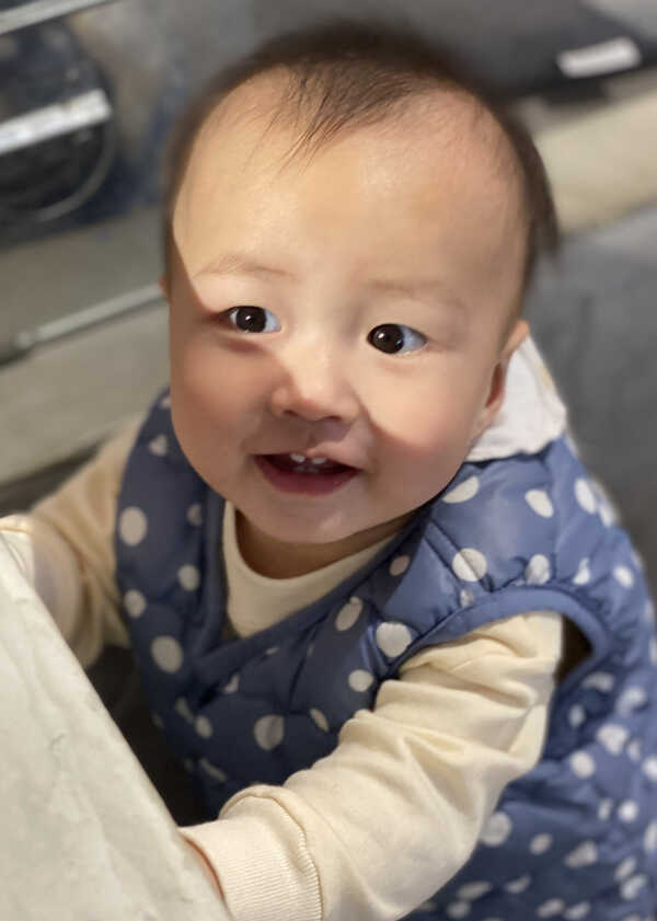 模特-
