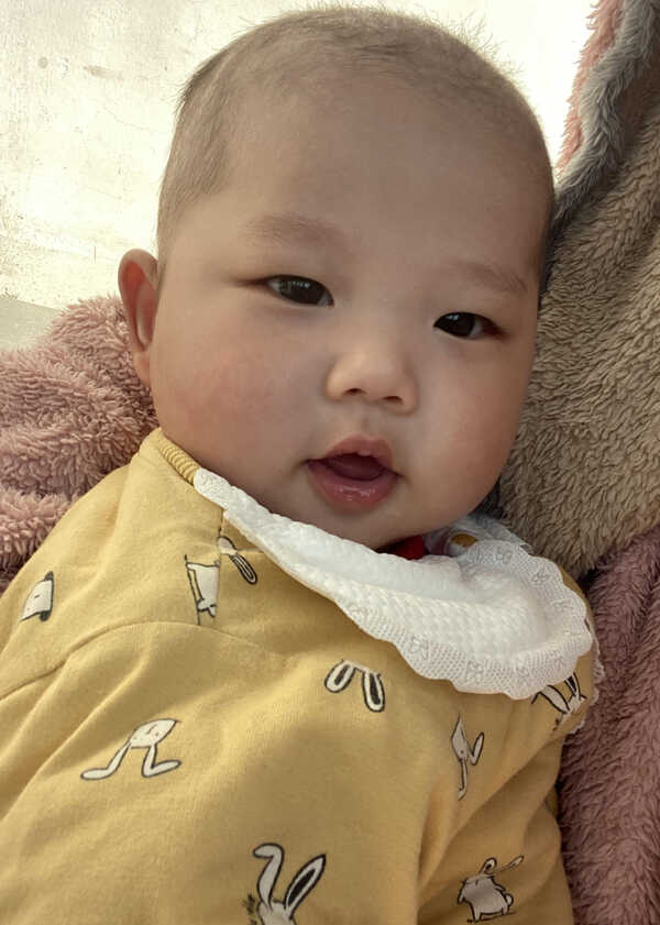 模特-