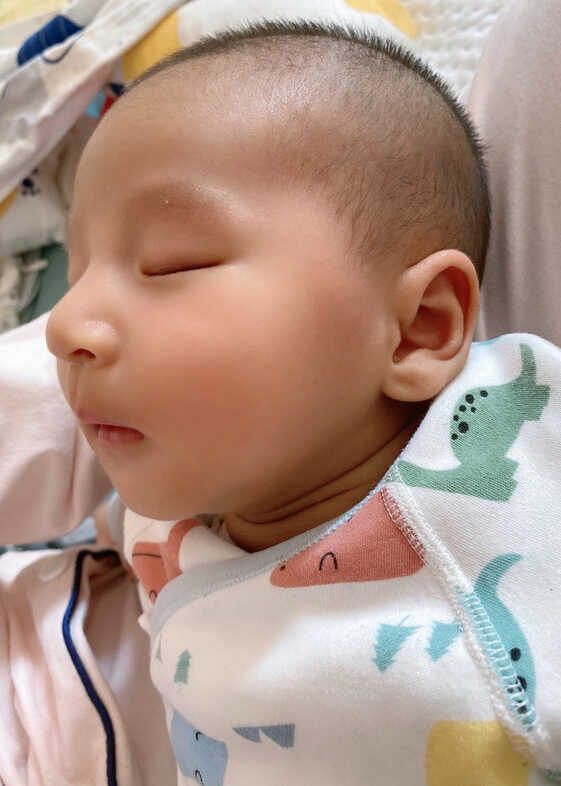 模特-