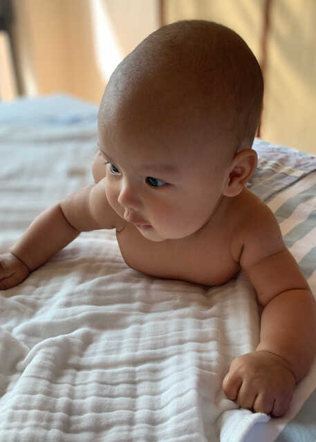 模特-