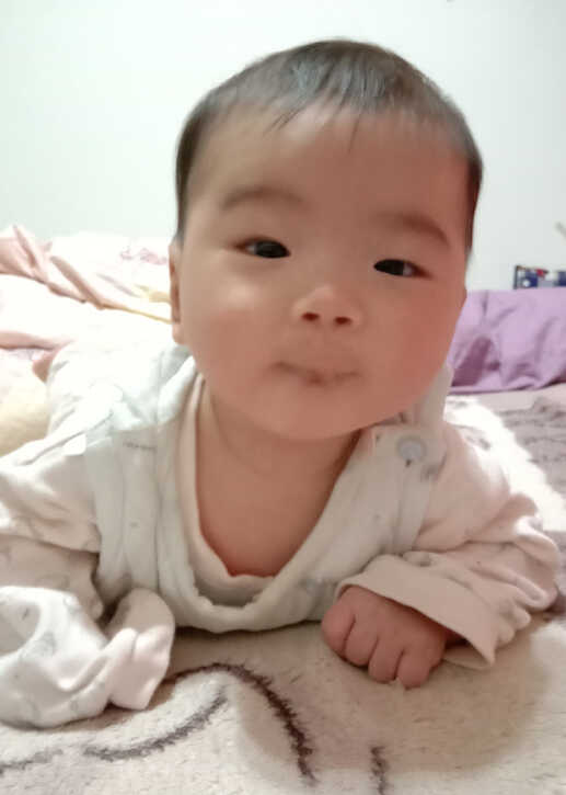 模特-