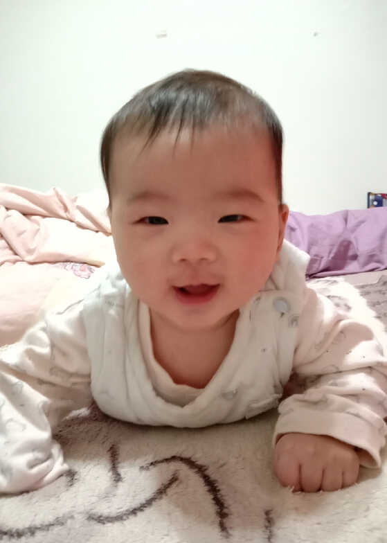 模特-