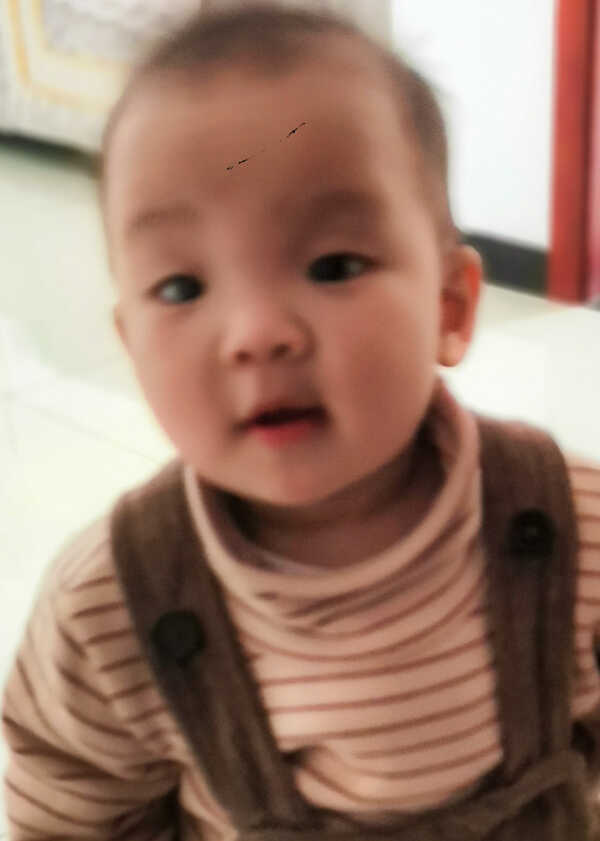 模特-