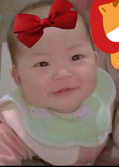 模特-