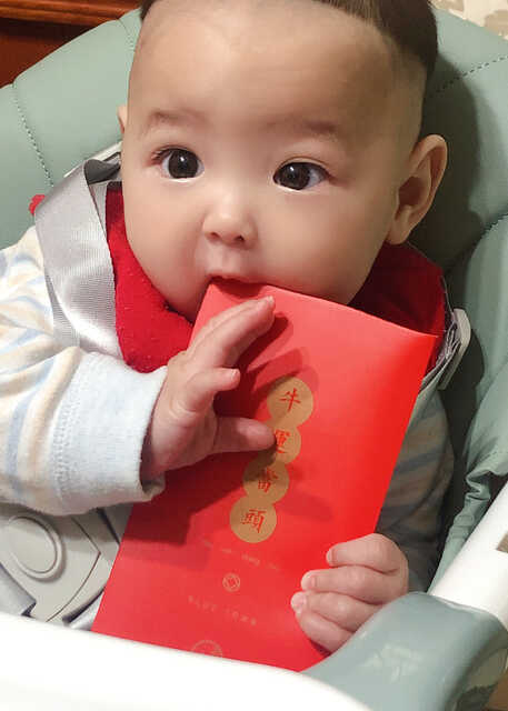 模特-
