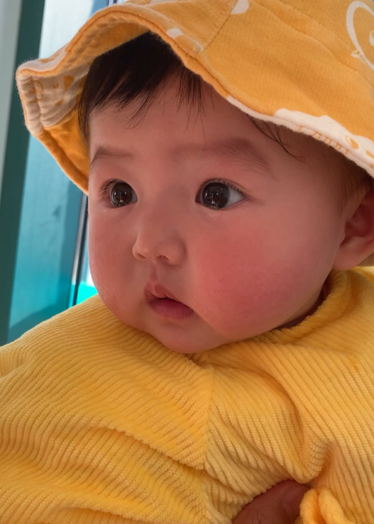 模特-