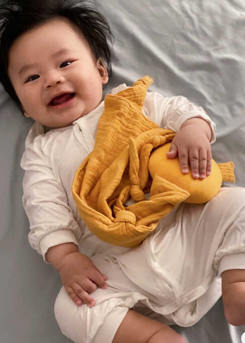 模特-