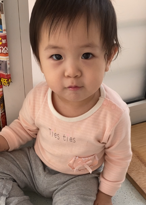 模特-