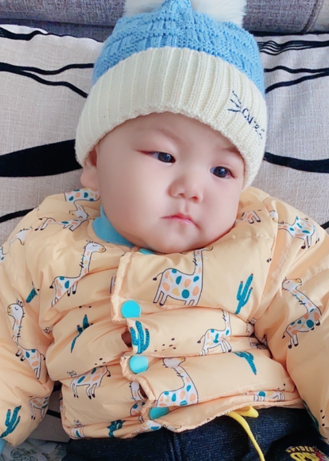 模特-