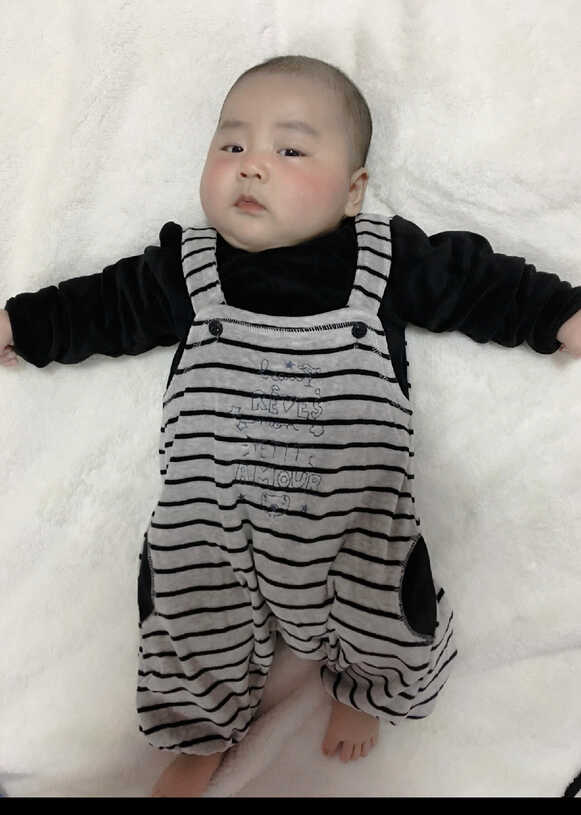 模特-
