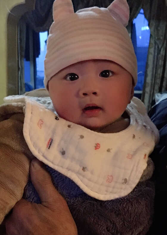 模特-
