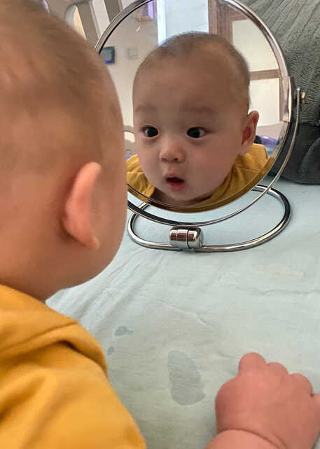 模特-