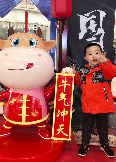 模特-