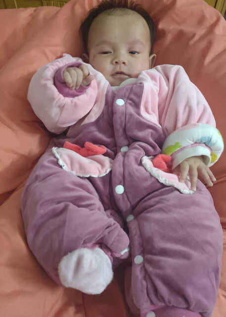 模特-