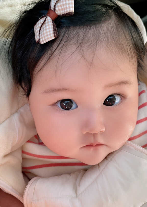 模特-