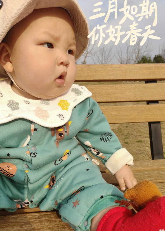 模特-
