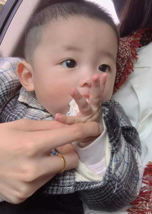 模特-