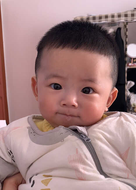 模特-