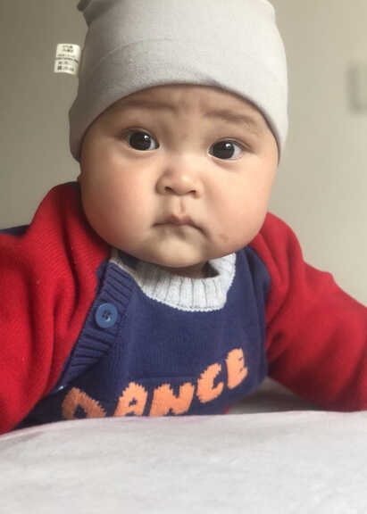 模特-