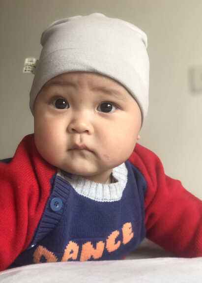 模特-