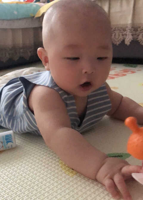 模特-