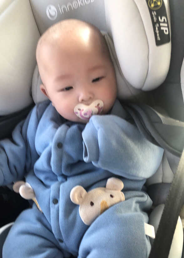模特-