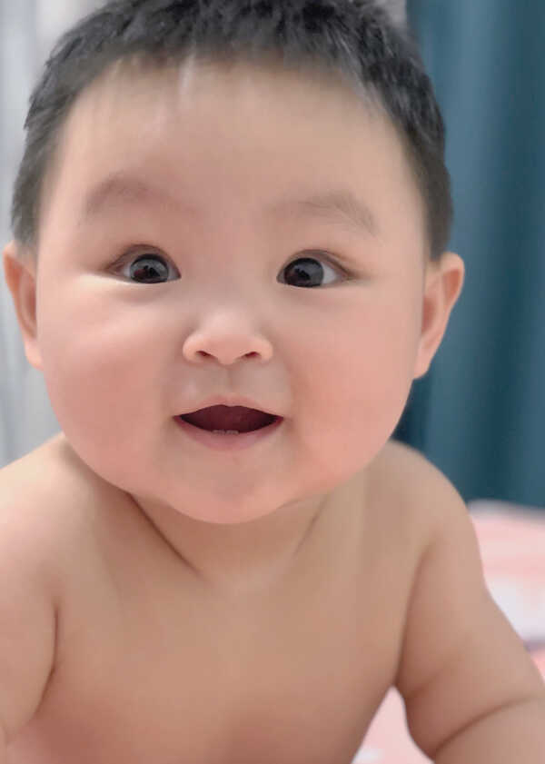 模特-