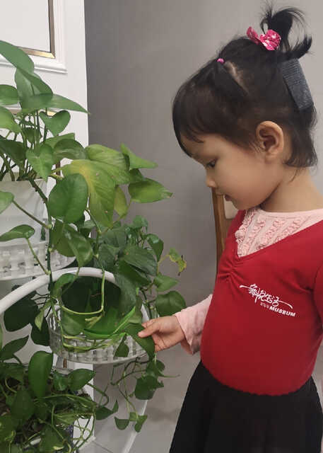 模特-