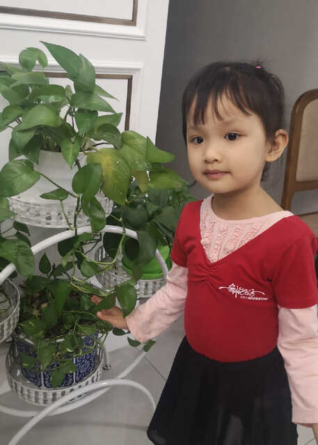 模特-